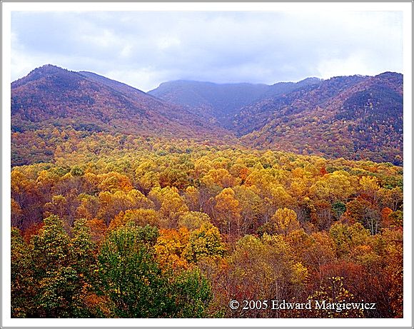 450417   Clouds desending down the mountain, SMNP 